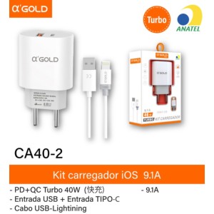 KIT_CASA USB&USBC 40W_LTGN (CA402)