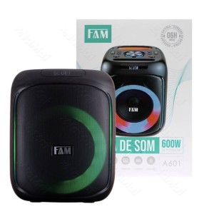 SOM_FAM 40W&TWS&RGB ENT_MIC (A601)