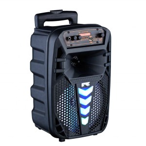 SOM 12'' 2xMICROFONE&CONTROLE&RODIZIO (NDR1012)