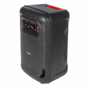 SOM 8'' MICROFONE&LED (KTS2197)