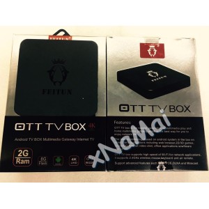 FEITUN 2+8GB (FI0082)